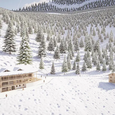 Wald & Wiesn Otel Balderschwang