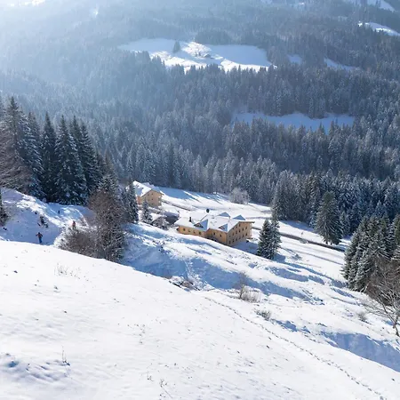 Wald&wiesn Balderschwang