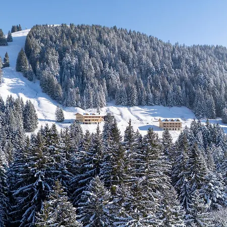 Wald&wiesn Balderschwang