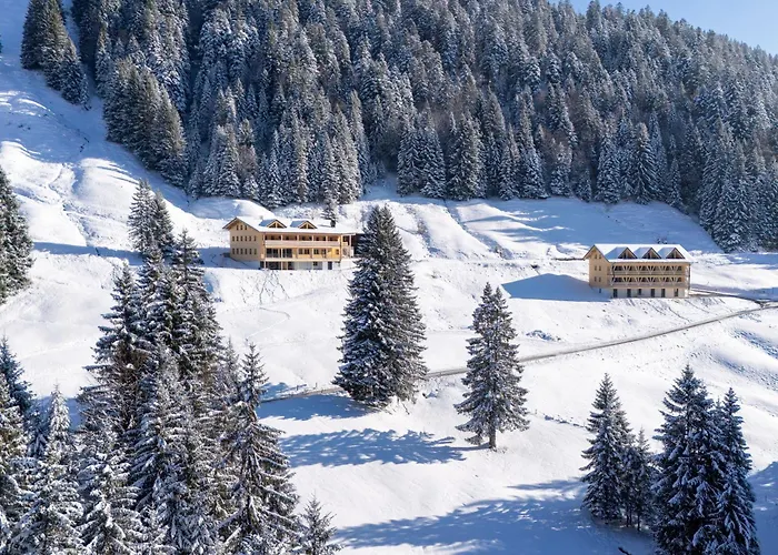 Hotel Wald&wiesn Balderschwang