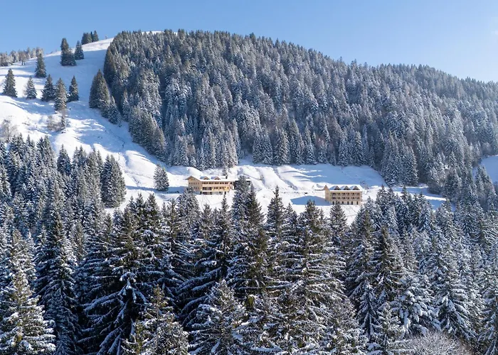 Wald&wiesn Balderschwang